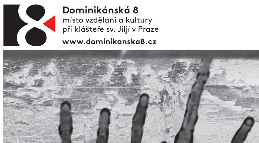 účast na besedě v Dominikanské 8 | Praha, Jalovcová 2, barokní refektář